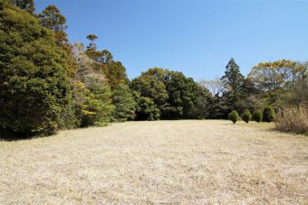 家庭菜園 千葉房総の不動産 田舎暮らし情報 房総スタイル 家庭菜園 千葉房総の不動産 田舎暮らし情報 房総スタイル